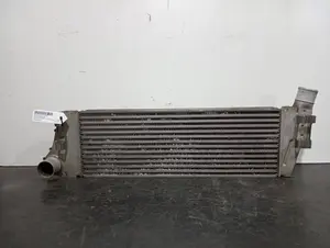 Foto de INTERCOOLER RENAULT SCENIC II (JM) referencia 8200468425 foto 1