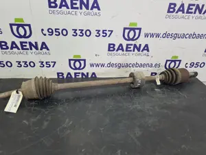 Foto de TRANSMISION DELANTERA DERECHA FIAT GRANDE PUNTO (199) referencia 55700559