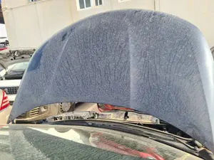 Foto de CAPO CITROEN C4 BERLINA