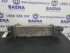 Foto de INTERCOOLER SIN MARCA SIN MODELO referencia Y2202371008050