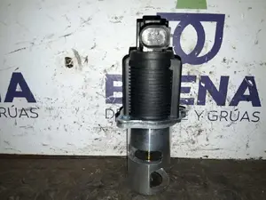 Foto de VALVULA EGR SIN MARCA SIN MODELO referencia EGR013