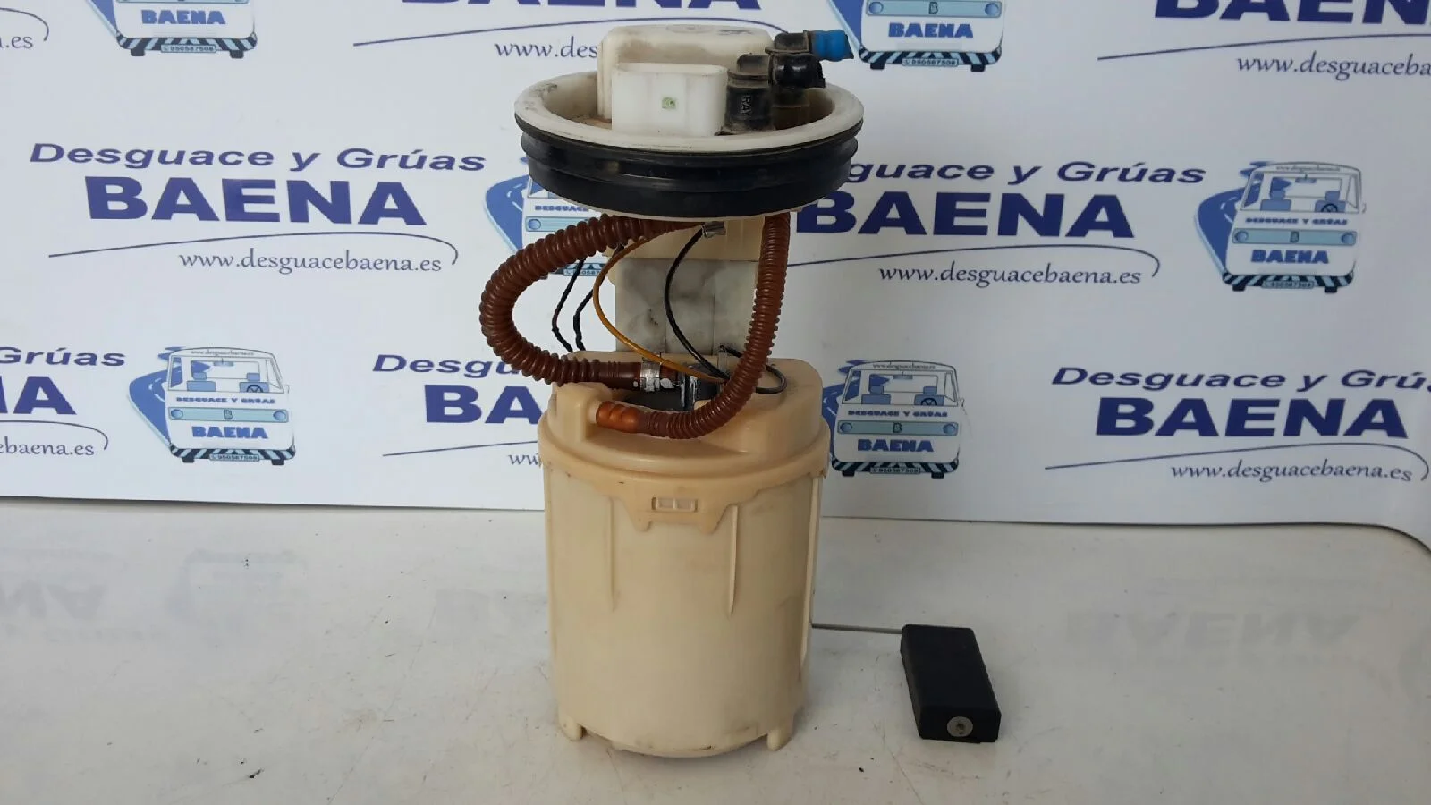 Foto de AFORADOR SIN MARCA SIN MODELO referencia 228233008005