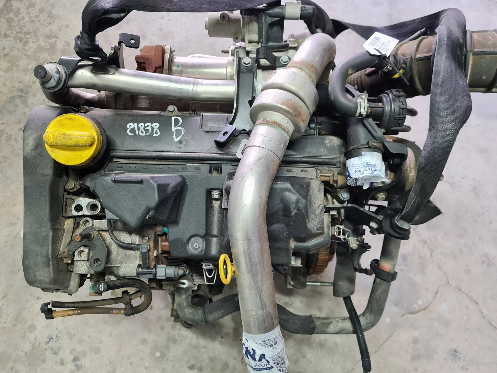 Foto de MOTOR COMPLETO RENAULT SCENIC II (JM) referencia K9KG724