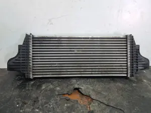 Foto de INTERCOOLER MERCEDES-BENZ CLASE ML (BM 164) referencia A2515000000 foto 2