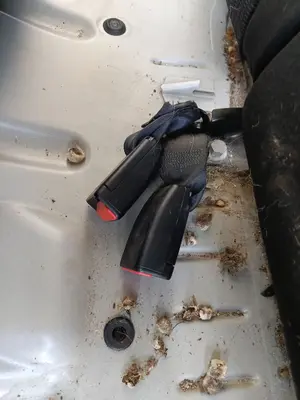 Foto de ENGANCHE CINTURON TRASERO DERECHO PEUGEOT 208