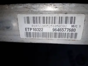 Foto de RADIADOR AGUA PEUGEOT 307 BERLINA (S2) referencia 9646577680 foto 3