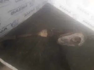 Foto de CREMALLERA DIRECCION SIN MARCA SIN MODELO foto 2