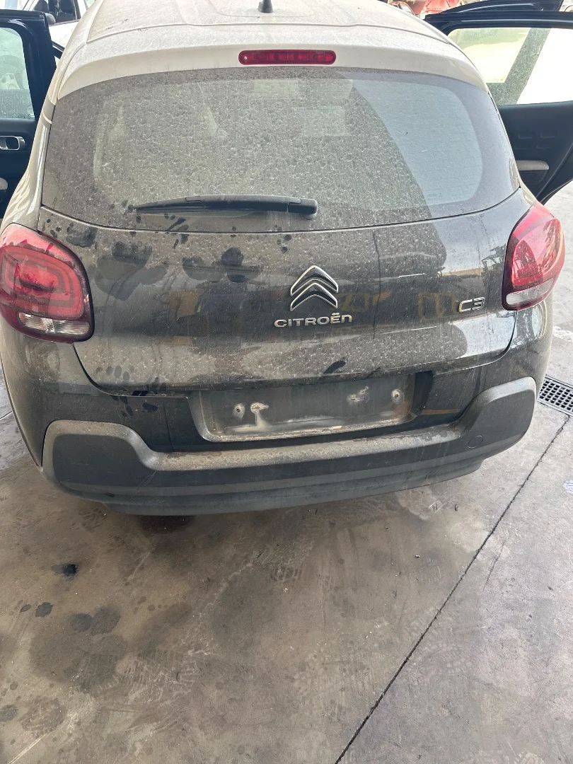 Foto de PORTON TRASERO CITROEN C3