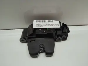 Foto de CERRADURA MALETERO / PORTON SIN MARCA SIN MODELO referencia 9816195380