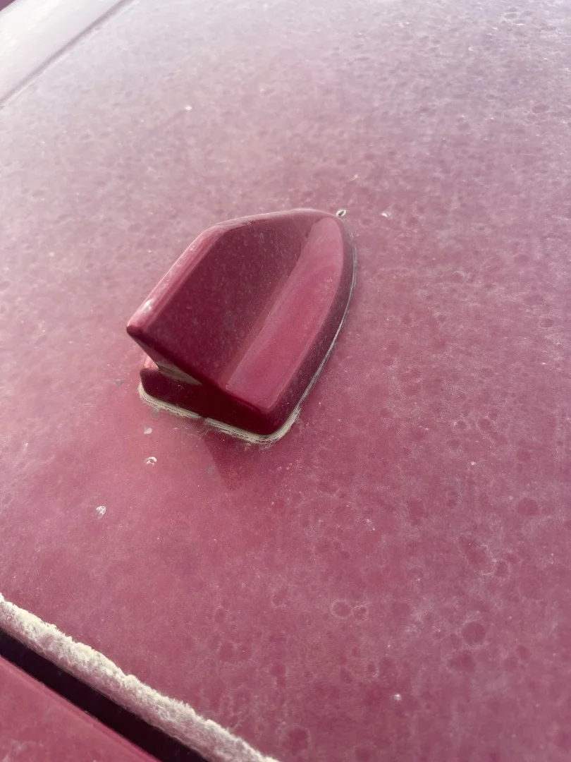 Foto de BASE DE ANTENA FORD FOCUS BERLINA (CGE)
