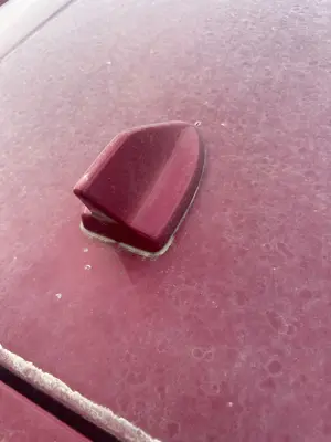 Foto de BASE DE ANTENA FORD FOCUS BERLINA (CGE)