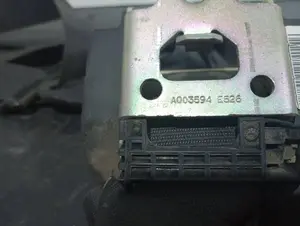 Foto de CINTURON SEGURIDAD TRASERO DERECHO FORD TRANSIT CONNECT (TC7) referencia A003594 foto 2