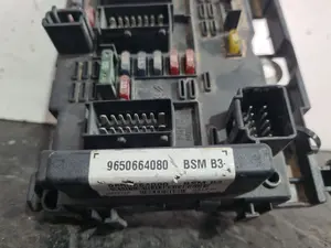Foto de CAJA RELES / FUSIBLES SIN MARCA SIN MODELO referencia 9650664080 foto 2
