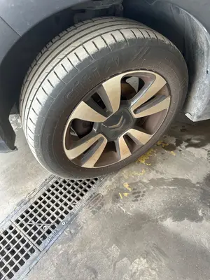 Foto de MANGUETA DELANTERA IZQUIERDA CITROEN C3