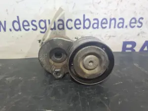 Foto de TENSOR CORREA AUXILIAR RENAULT MEGANE II CLASSIC BERLINA referencia 9053284628