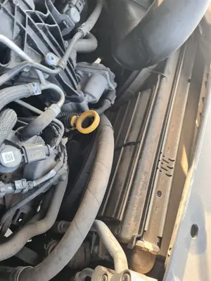 Foto de INTERCOOLER SEAT ALHAMBRA (710)