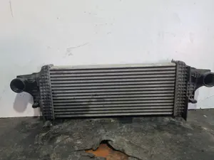 Foto de INTERCOOLER MERCEDES-BENZ CLASE ML (BM 164) referencia A2515000000