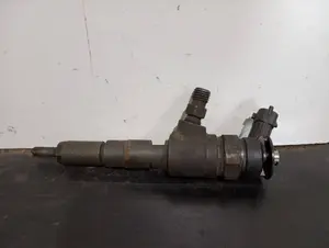 Foto de INYECTOR SIN MARCA SIN MODELO referencia 0445110135 foto 1
