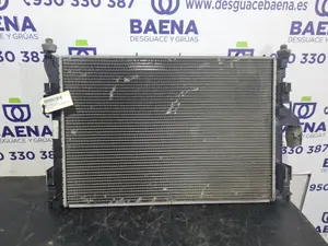 Foto de RADIADOR AGUA SIN MARCA SIN MODELO referencia 8200735039