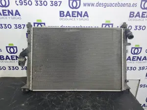Foto de RADIADOR AGUA SIN MARCA SIN MODELO referencia 8200735039 foto 3