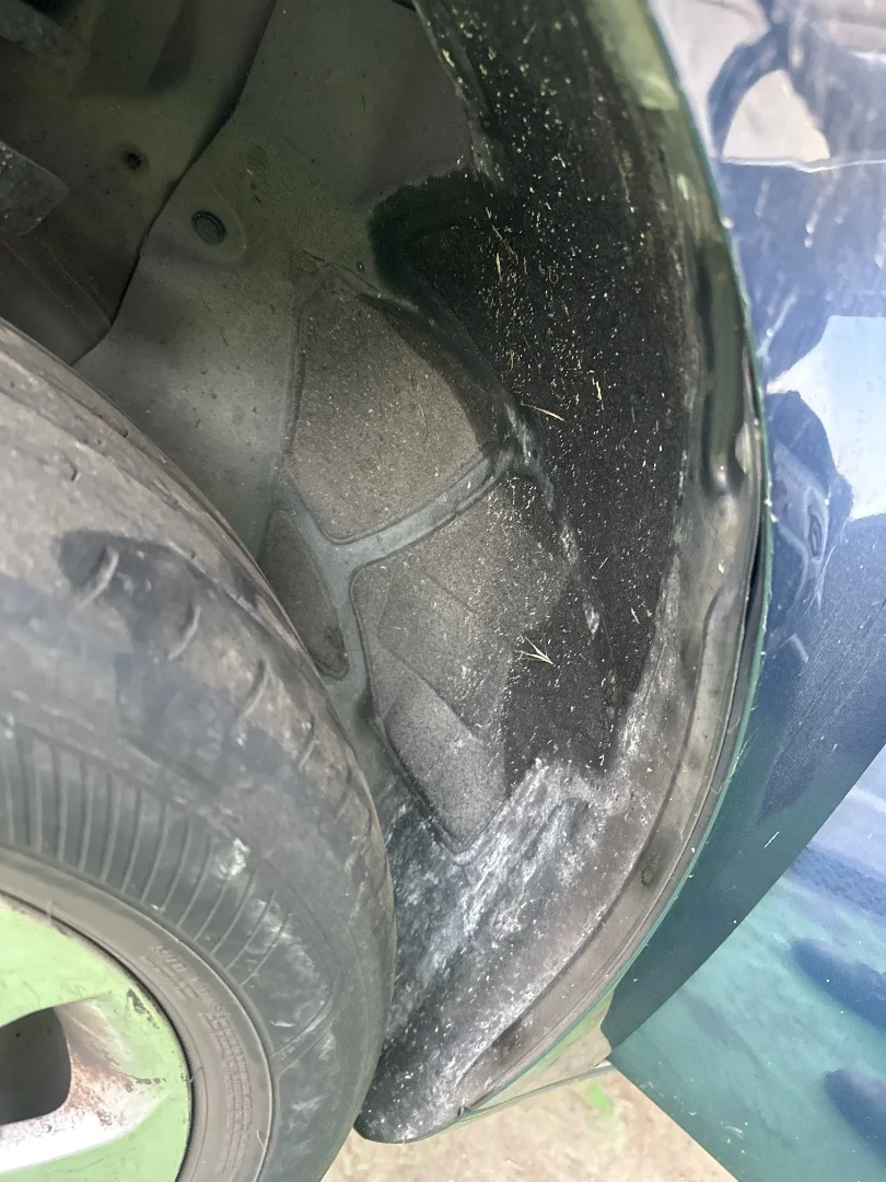Foto de PASO RUEDA DELANTERO IZQUIERDO OPEL INSIGNIA BERLINA