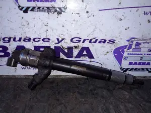 Foto de INYECTOR SIN MARCA SIN MODELO referencia 095000
