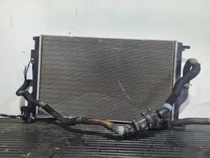 Foto de RADIADOR AGUA RENAULT EXPRESS referencia 212006896R