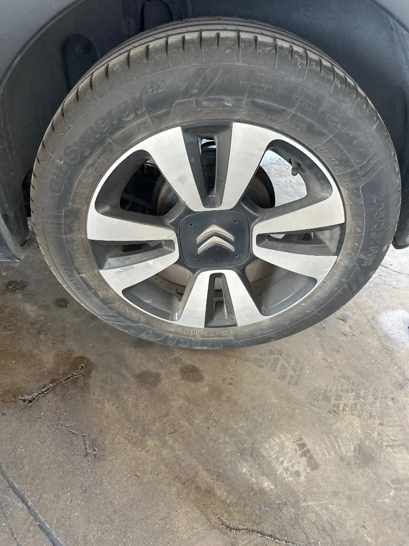 Foto de MANGUETA TRASERA IZQUIERDA CITROEN C3