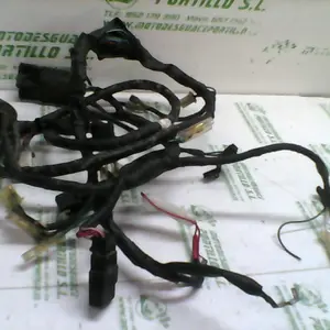 Foto de Instalación electrica Honda SKY 50 referencia 90-18-29840 foto 3