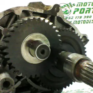 Foto de Relaciones Peugeot Speedfight 1 50 referencia 176-19-39456 foto 4