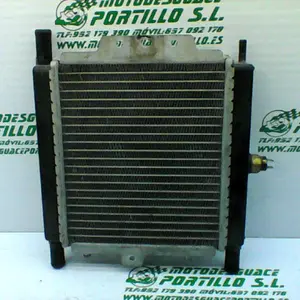 Foto de Radiador Peugeot Satelis 125 referencia 240-19-36136 foto 16