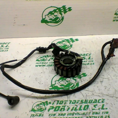 Foto de Encendido Piaggio MP3 250 RL referencia 397-21-40259