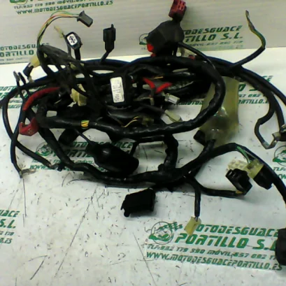 Foto de Instalación electrica Honda S-wing 125 referencia 241-19-22676