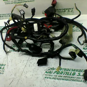 Foto de Instalación electrica Honda S-wing 125 referencia 241-19-22676