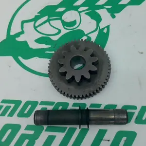 Foto de Piñón del motor de arranque Yamaha XMAX 250 referencia 213-19-37386 foto 6