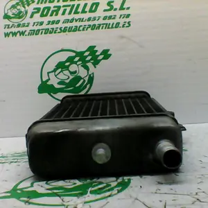 Foto de Radiador Honda Dylan 125 referencia 21-18-11534 foto 10
