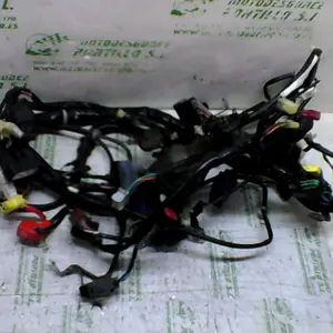 Foto de Instalación electrica Honda Forza 250 referencia 234-18-16146 foto 2