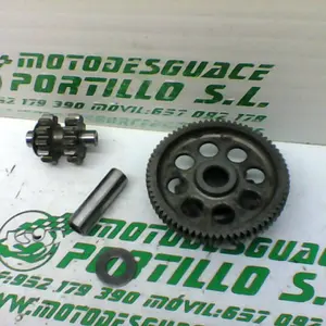 Foto de Piñón del motor de arranque Honda CBF 250 referencia 214-19-23306 foto 6