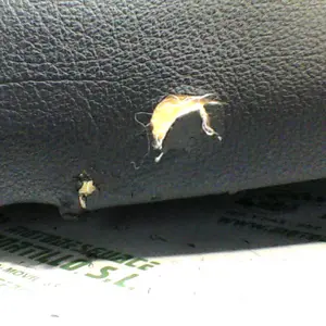 Foto de Asiento Yamaha Cygnus x 125 referencia 262-24-48892 foto 9