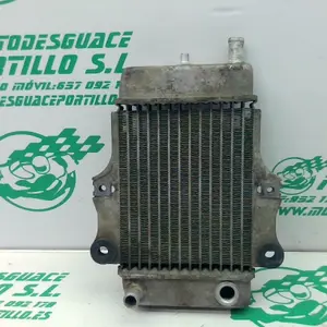 Foto de Radiador Honda Dylan 125 referencia 21-18-11534 foto 3