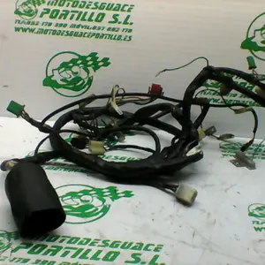 Foto de Instalación electrica Honda LEAD 100 referencia 197-17-29068
