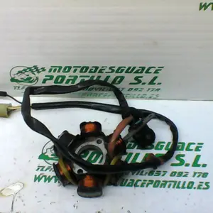 Foto de Encendido Peugeot Vivacity 50 referencia 98-16-38924 foto 15