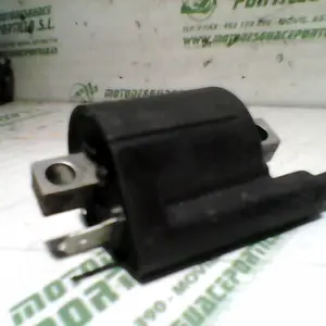 Foto de Bobina Yamaha Bws 50 referencia 216-21-38000