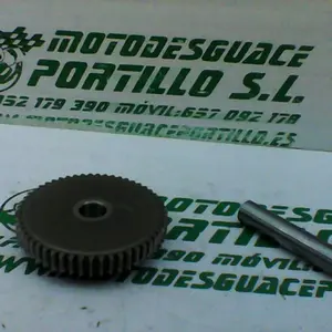 Foto de Piñón del motor de arranque Honda CBF 125 M referencia 166-22-34876 foto 5