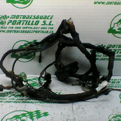 Foto de Instalación electrica Suzuki Marauder 250 referencia 193-21-33306