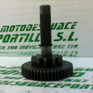 Foto de Piñón del motor de arranque Yamaha XMAX 250 referencia 213-19-37386 foto 13
