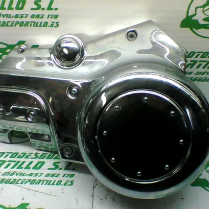 Foto de Embellecedor de motor Daelim Daystar 125 referencia 139-21-41987