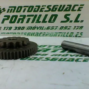 Foto de Piñón del motor de arranque Honda CBF 125 M referencia 166-22-34876 foto 3