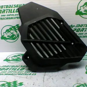 Foto de Protector de radiador Honda Pcx 125 referencia 181-23-46269 foto 17
