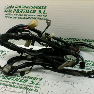 Foto de Instalación electrica Honda LEAD 100 referencia 197-17-29068 foto 2
